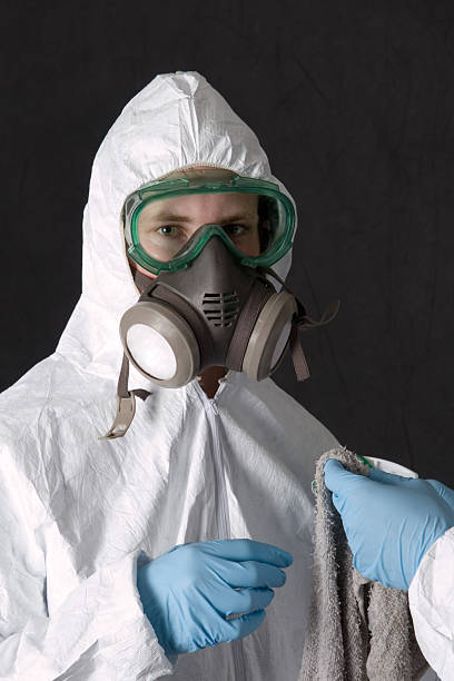 Mold Remediation for Vacation Homes in Baileyton, AL
